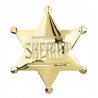 Sheriff Badge pin